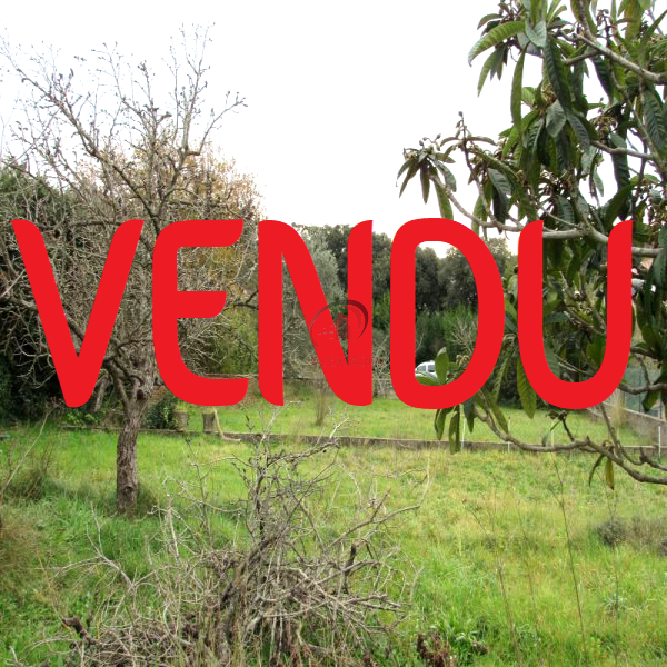 Offres de vente Villa Six-Fours-les-Plages 83140