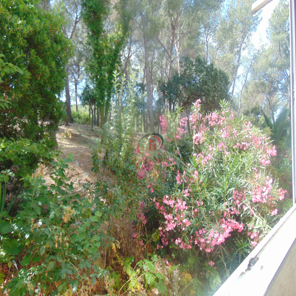 Offres de vente Appartement La Seyne-sur-Mer 83500